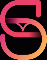 Sunergos 20 Management Festival Poster